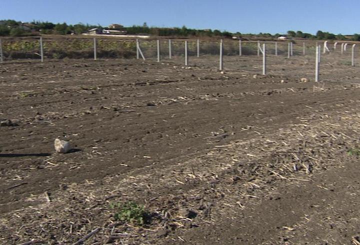 Arsalarda alım fırsatı ne zaman?