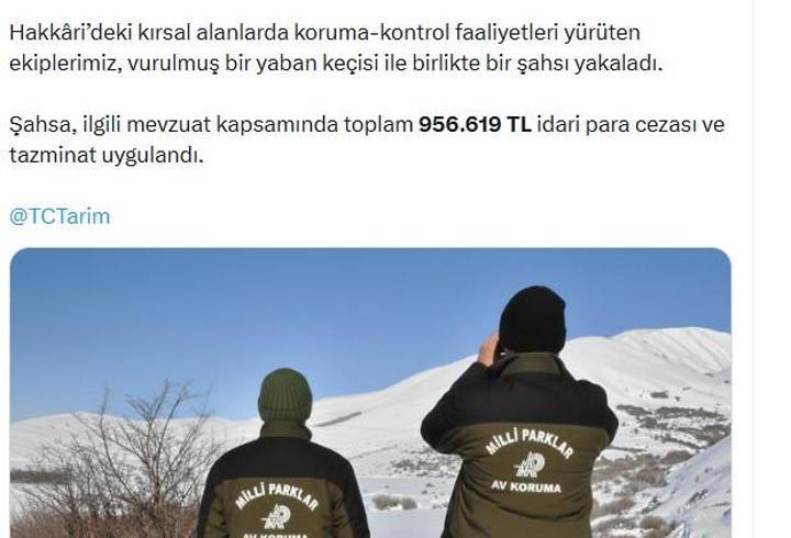 Yaban keçisi vuran avcıya 956 bin TL ceza
