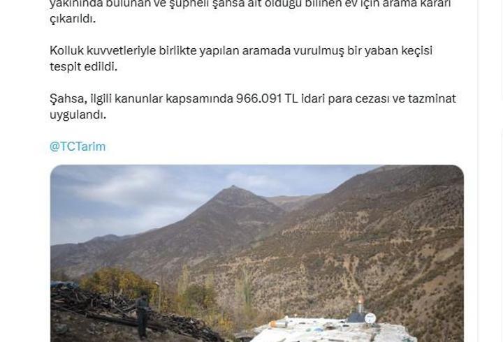 Yaban keçisi vuran avcıya 996 bin TL ceza