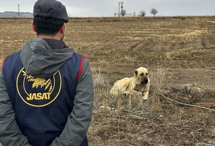 Nevşehir’de köpek dövüştüren 19 kişi yakalandı