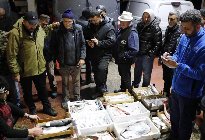 Palamut az, hamsi zirvede: Marmara balık hallerinde dikkat çeken rakamlar