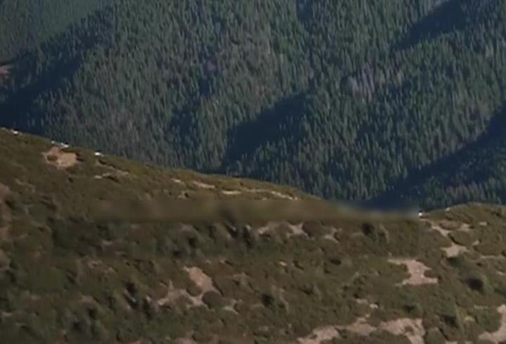 Ukraynalı erkeklerin ölüm yolculuğu