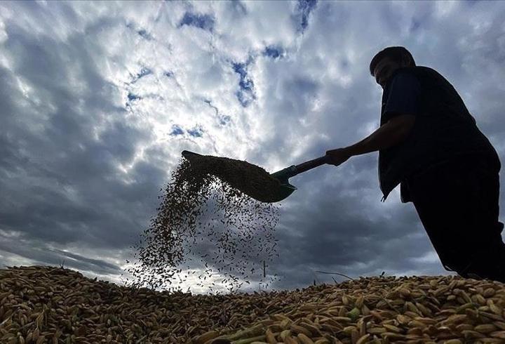 Çiftçilere 1,6 milyar liralık tarımsal destek ödemesi bugün hesaplara yatıyor