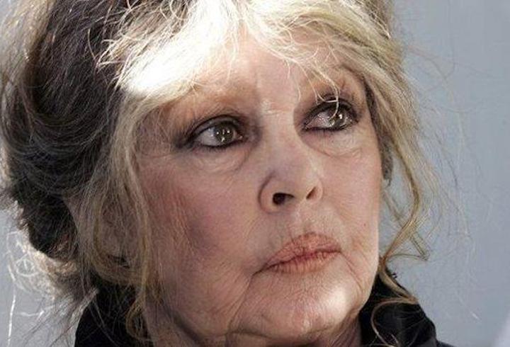 Fransız oyuncu Brigitte Bardot, 91 yaşında hayatını kaybetti