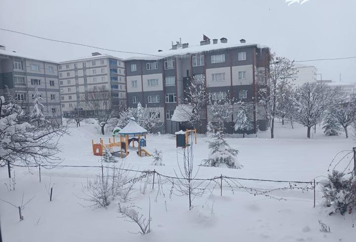 Bitlis’te 203 köy yolu açıldı