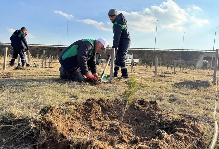 Kayseri’de 3 bin 200 fidan dikildi