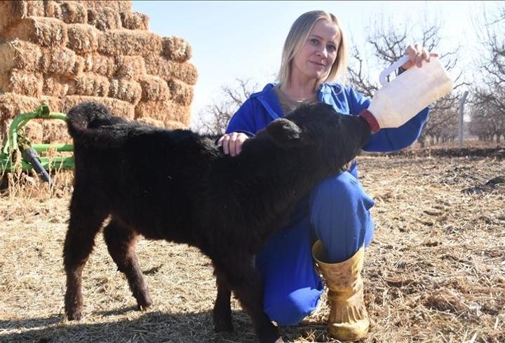 Karamanlı genç kadın, devlet desteğiyle hayvancılığa adım attı