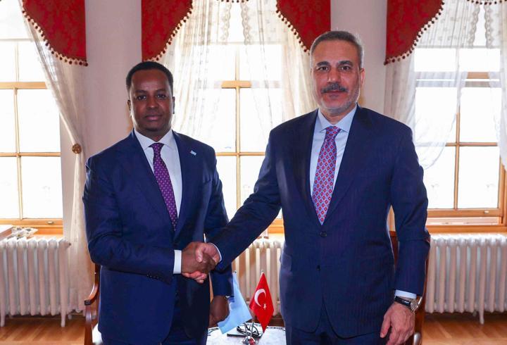 Dışişleri Bakanı Hakan Fidan, Somalili mevkidaşı ile görüştü