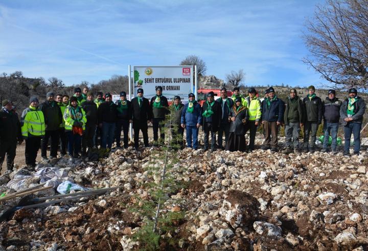 Şehit Ertuğrul Ulupınar Sedir Ormanı oluşturuldu