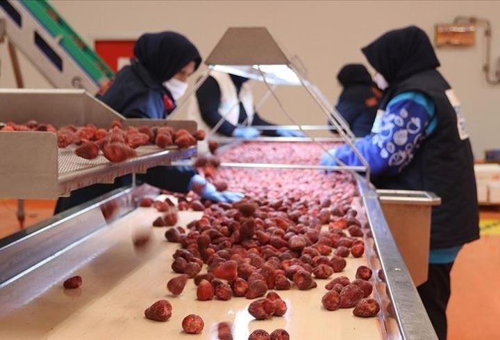 Dondurulmuş gıda sektörü 2026’ya hazırlanıyor