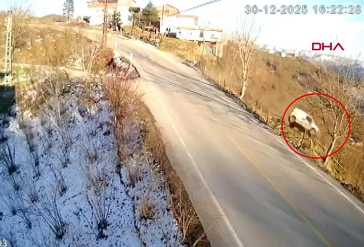 Aracıyla fındık bahçesine böyle uçtu