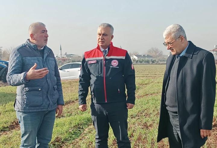 Hatay’da buğday ekili alanlar incelendi