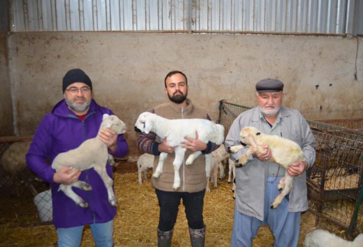 3 kuşaktır, koyun yetiştiriyorlar