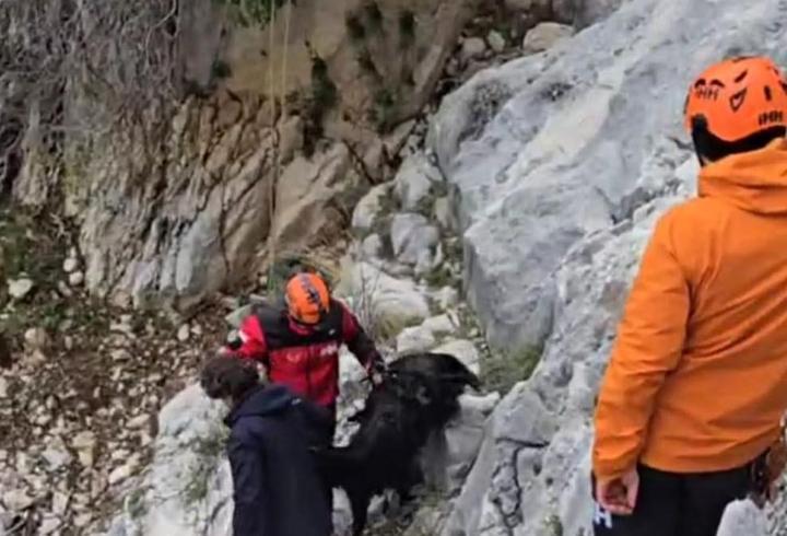 Serik'te dağlık alanda keçi kurtarma operasyonu  