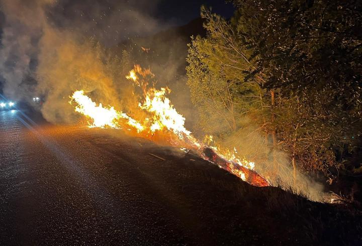 Yol kenarında çıkan yangın, ormana sıçradı