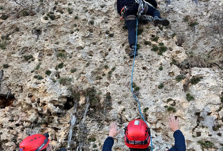 Mardin’de dağda mahsur kalan keçi kurtarıldı