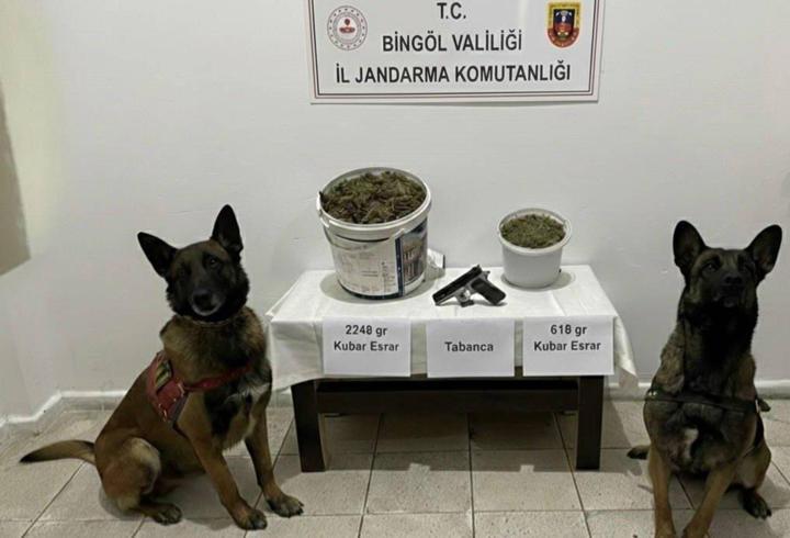 Bingöl’de uyuşturucu operasyonunda 3 gözaltı