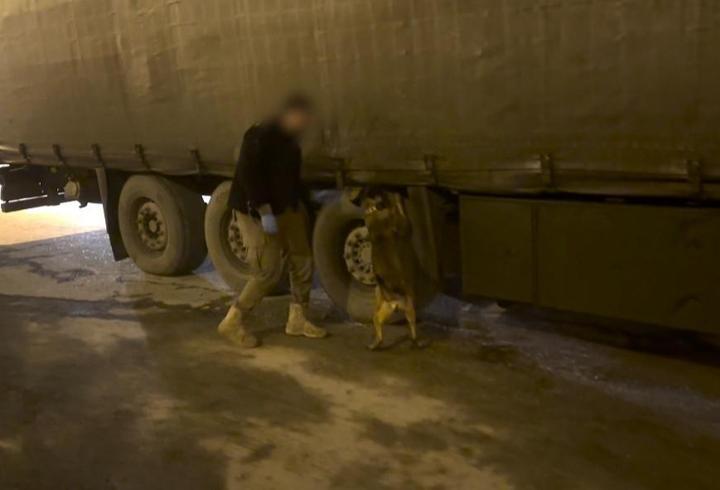 TIR'daki 51 kilo esrarı 'Mailo' buldu