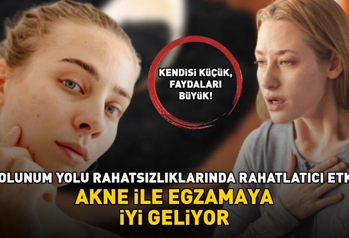 Göğüs Cerrahisi Uzmanı Doç. Dr. Nezih Onur Ermerak, akciğer kanserinin erken evrede çoğu zaman belirti vermeden ilerleyebildiğini; bu nedenle risk grubundaki kişilerde düşük doz bilgisayarlı tomografi ile taramanın gündeme alınması gerektiğini vurguladı.9