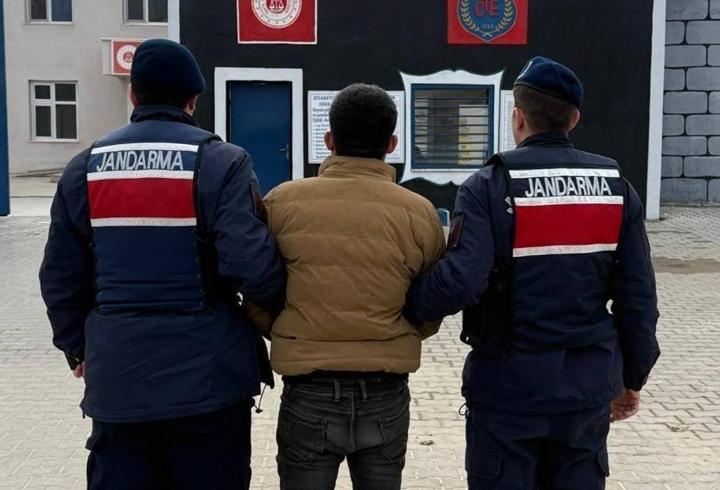 Jandarma aranan 50 kişiyi yakaladı