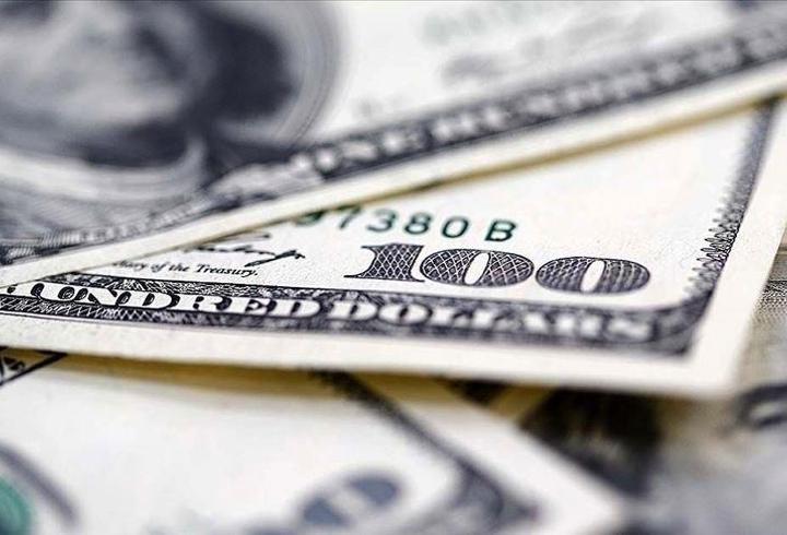 Reel efektif döviz kuru ocakta yükseldi
