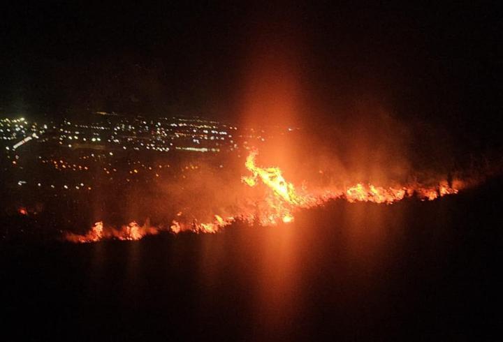 İskenderun'da orman yangını