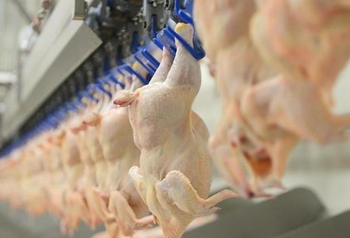 SON DAKİKA... Tavuk ürünleri ihracatı yarından itibaren durdurulacak