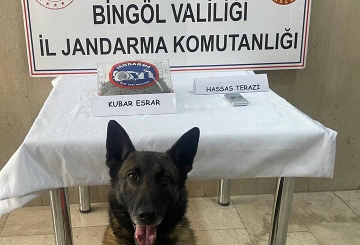 Bingöl’de 8 firari hükümlü yakalandı