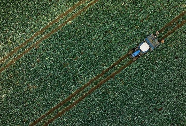 Ocak yağışları su kaynaklarına ve tarıma can suyu oldu