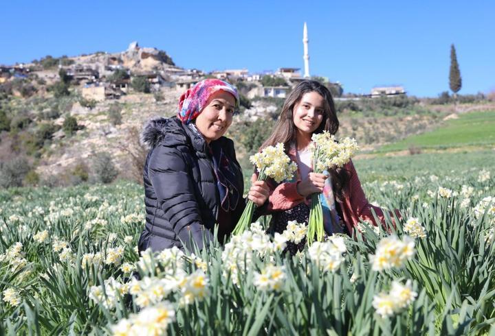Nergis projesi kırsal kalkınmaya destek oluyor