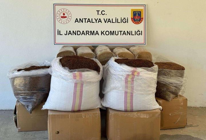Gazipaşa'da kaçak tütün operasyonu