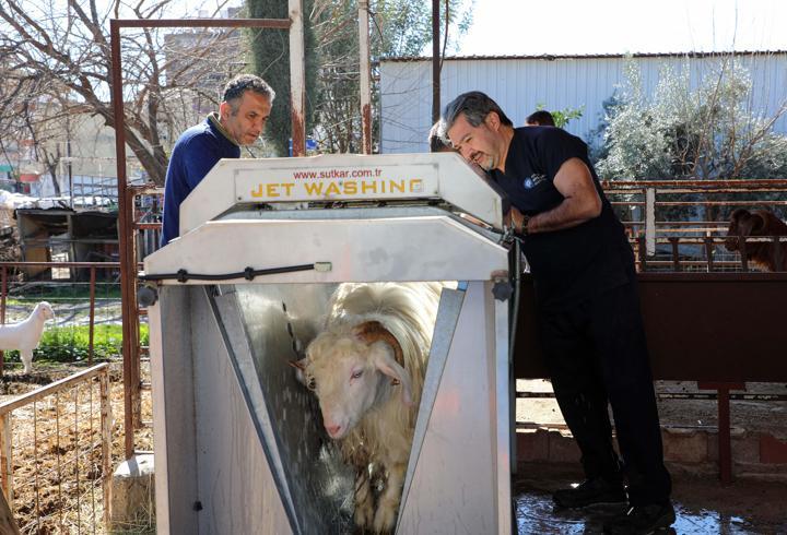 Verim artıyor, hastalık riski azalıyor