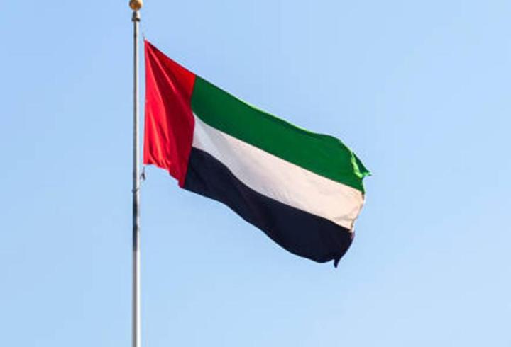 BAE: 11 balistik füze ve 123 İHA engellendi