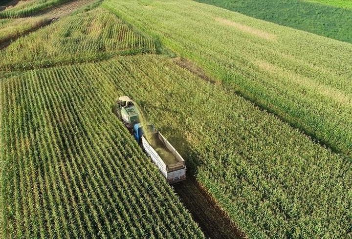 Tarım ve Orman Bakanlığı’ndan 3 yılda 65,5 milyar TL’lik Kırsal Kalkınma Yatırımı