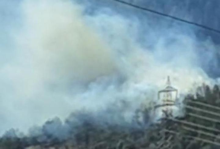 Osmaniye'de orman yangını