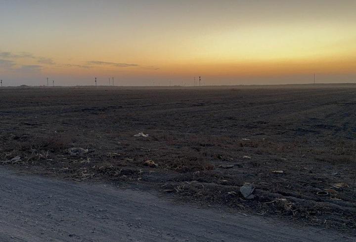 Bahriye Kalaycı'yı 55 bıçak darbesiyle öldürmüştü! Cani eski eşin cezası belli oldu