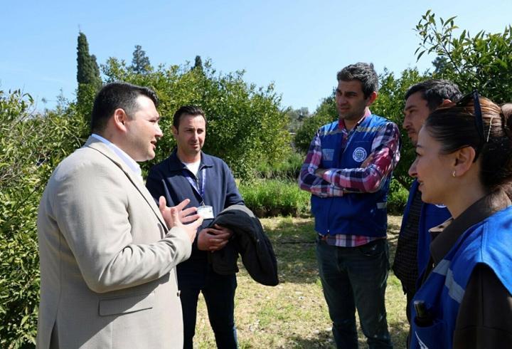 Bodrum'da üreticilere ağaç budama eğitimi verildi