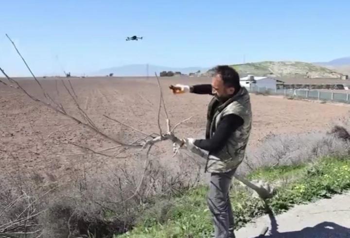 Hatay'da yol kenarları ağaçlandırılıyor