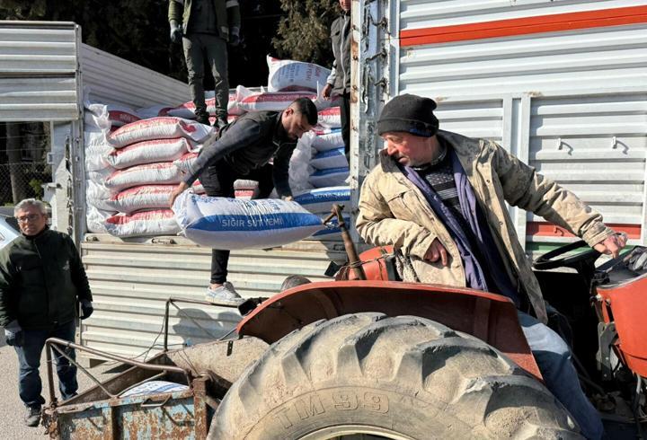 Sultanhisar'da üreticilere yem desteği