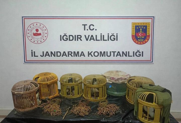 Kaçak keklik avcılarına 175 bin lira ceza