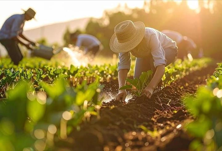 Gübrede gümrük vergisi sıfırlandı: Üre ithalatında yeni dönem