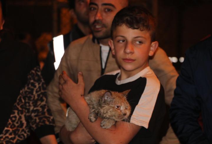 Yangında dairede mahsur kalan kedi 'Duman'ı itfaiye kurtardı