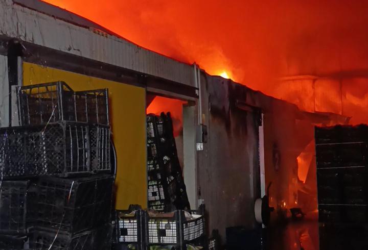 Antalya'da muz paketleme ve sarartma tesisinde yangın