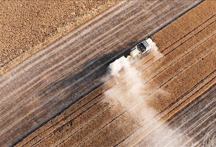 Türkiye’de yağışlar yükseldi: Tarım sezonunda yüzde 38 artış