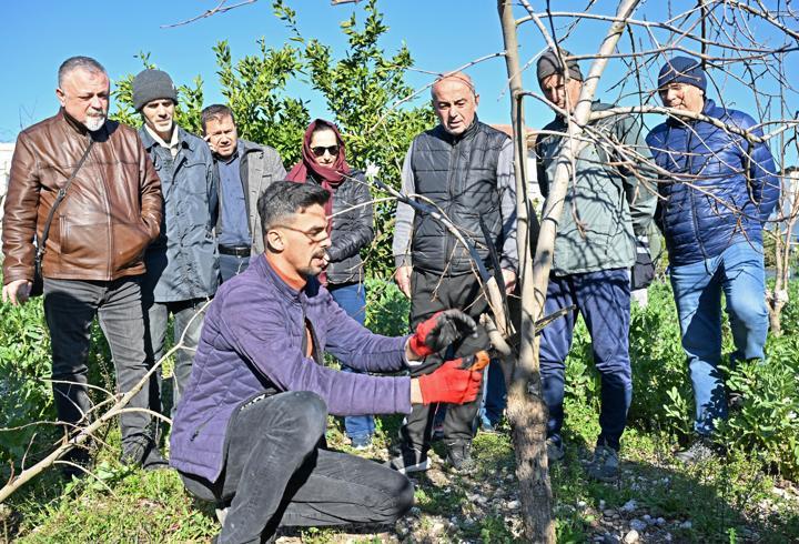 ATASEM’de uygulamalı ağaç budama eğitimi