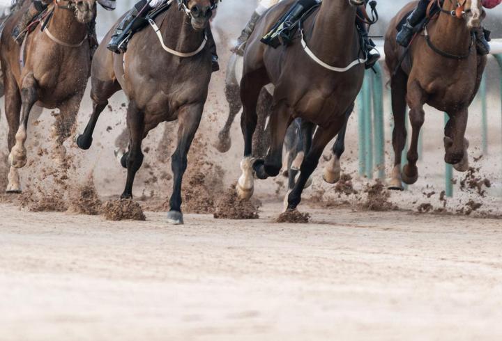 Adana'da sakatlanan yarış atının kesilip, Mersin'de kavurma yapıldığı iddiası