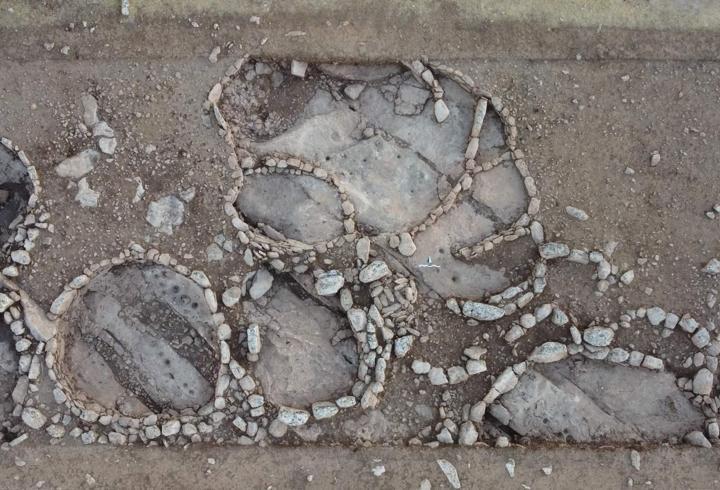 Göbeklitepe'nin atası Çakmaktepe