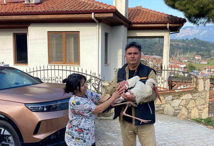 Bitkin düşen leylek, tedaviye alındı