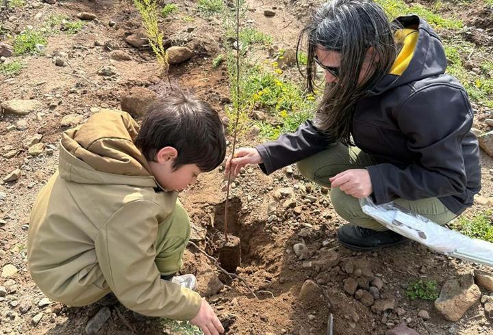 Muğla'da gönüllülerden doğaya 2 bin fidan