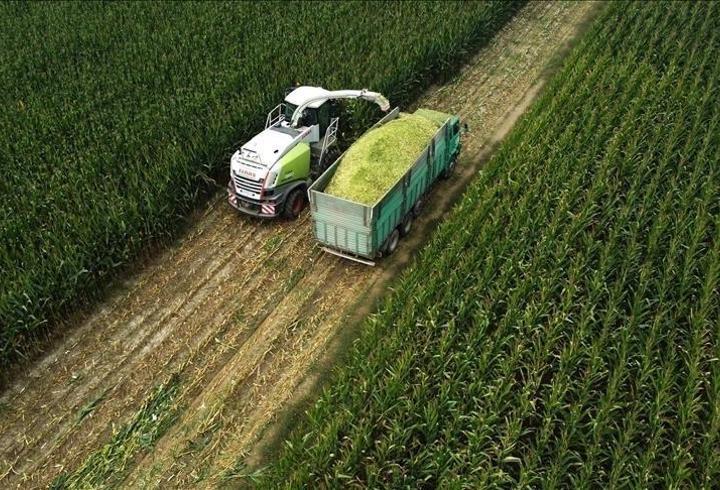 TÜİK: Tarım üretici fiyatları şubatta arttı